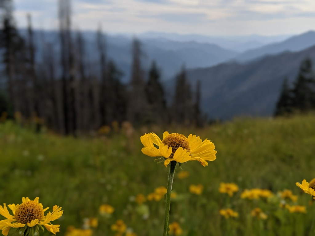 00100lportrait_00100_burst20190820164718460_cover