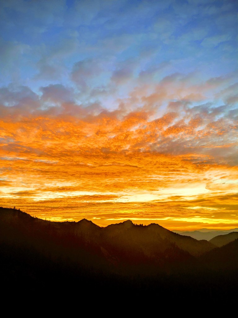 img_20190821_062337-effects