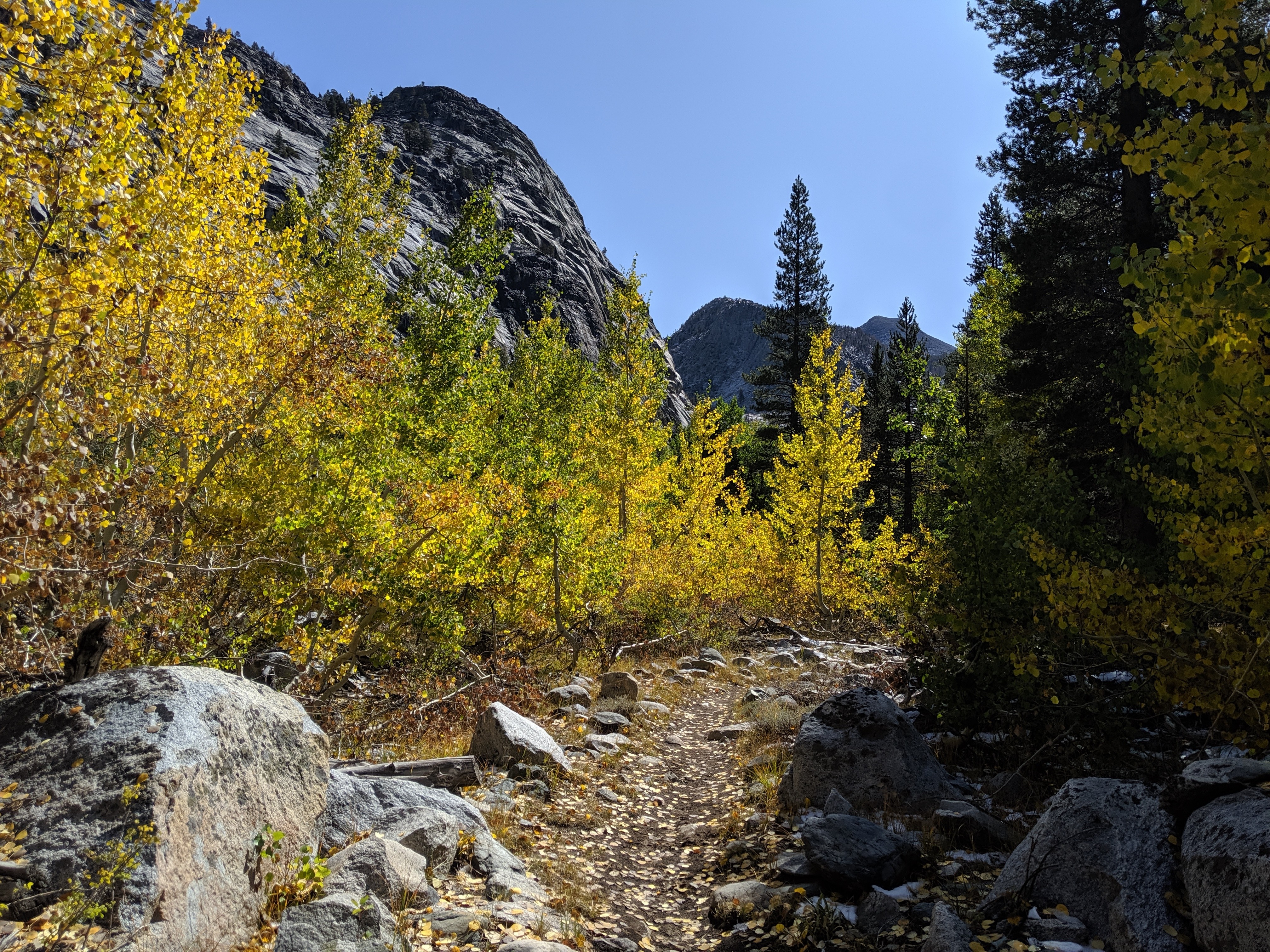 mvimg_20190929_113612